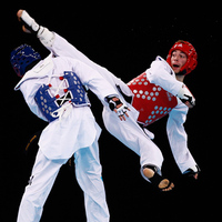 ТХЭКВОНДДО - Спортивный комплекс ДИНУР - спортивные секции, проведение соревнований, Первоуральск